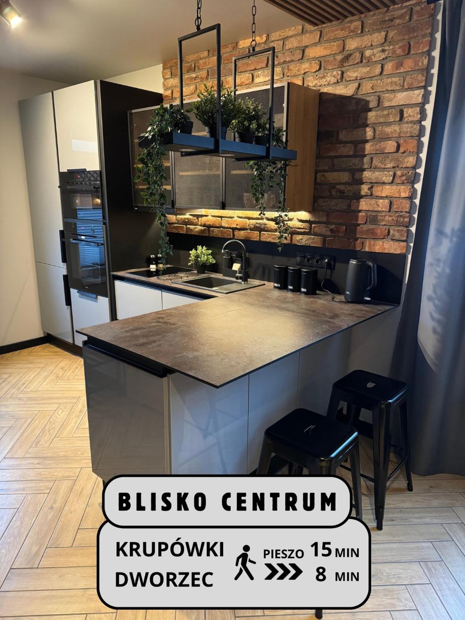 Apartamenty Szary Wilk - Klimatyczne Apartamenty Dla 2 Osob - Blisko Centrum -Bezplatny Parking Zakopane Exterior foto